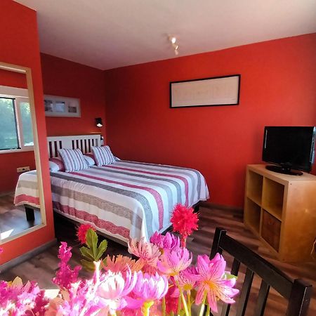 Apartamentos La Casa Del Pintor Кудільєро Номер фото
